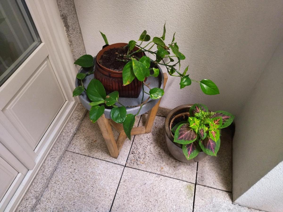 Santa Catarina Patio Apartment - With Washer Machine Porto Zewnętrze zdjęcie